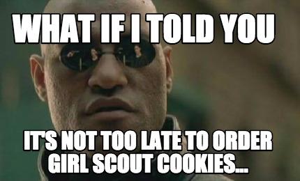 the matrix girl scout meme